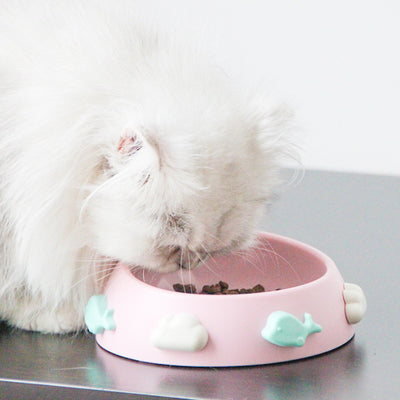 Color Accessories anti-skid Bowl for Cat