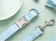 Paisley Set Collar for Pet