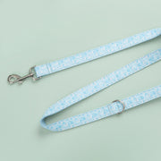 Paisley Set Collar for Pet