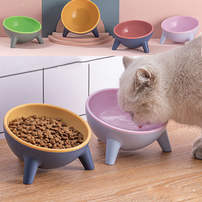 Cat Feeding Bowl With Stand